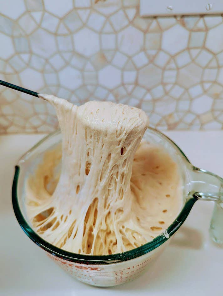 Sourdough Starter | Freeze Dried | San Francisco Style 12gm