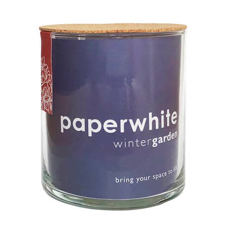 Essential | Paperwhites | Fall & Christmas | Best Seller