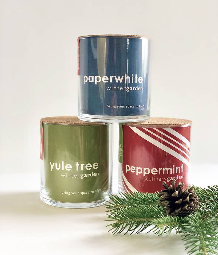 Essential | Christmas Tree | Hostess gift | Event Gift