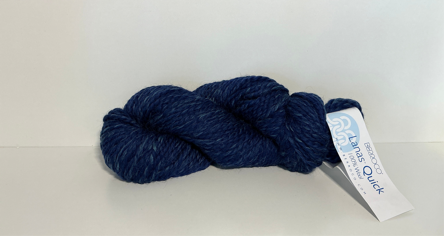 Berroco Lanas Quick-Blue Ribbon 77200