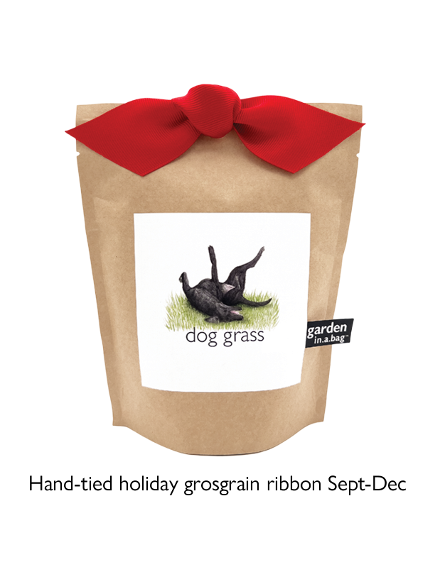 Garden in a Bag | Dog Grass | Pet Treat | Dog gift