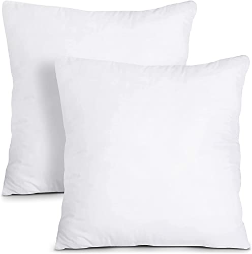 Throw Pillow Inserts - White, 18 x 18 inches (Set of 2)