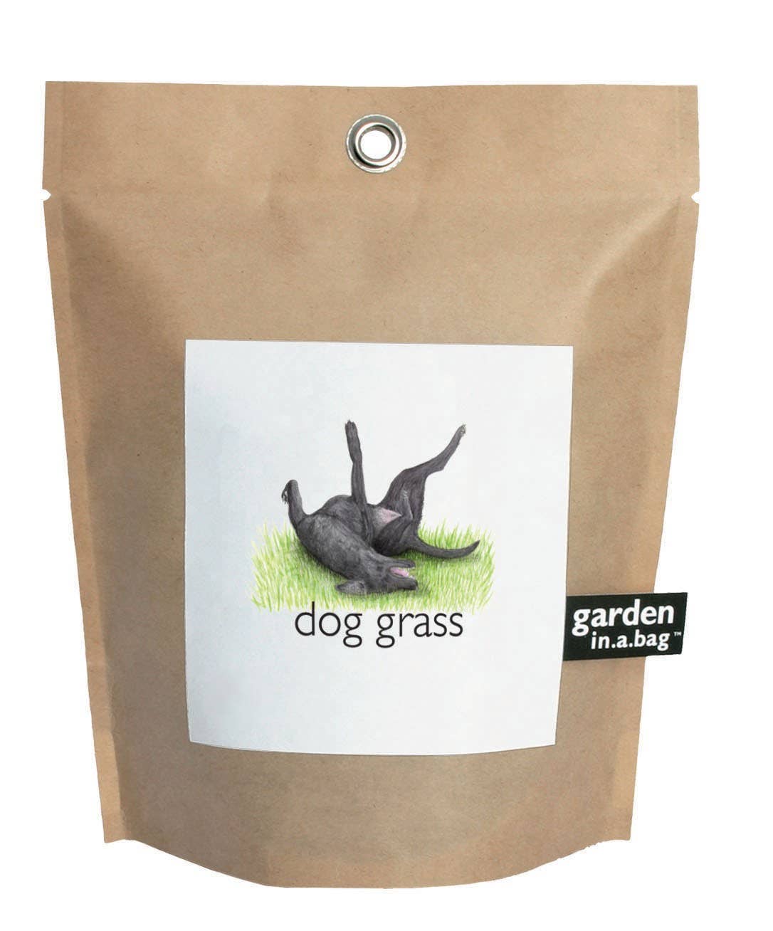 Garden in a Bag | Dog Grass | Pet Treat | Dog gift