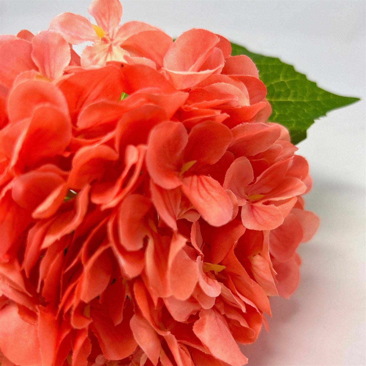 Full Garden Hydrangea Stem 21" - Sherbet
