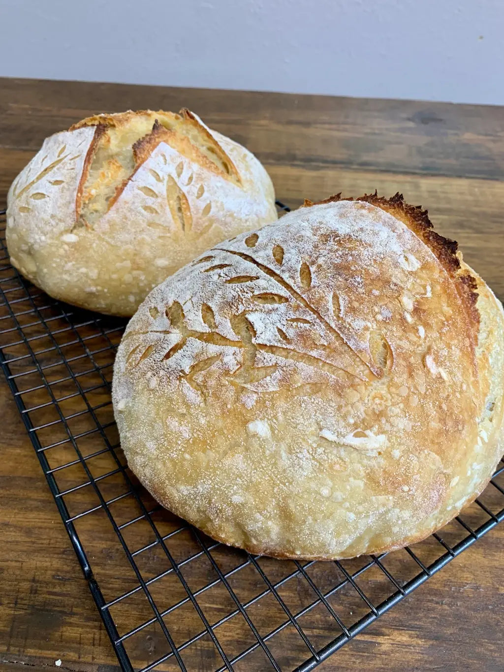 Sourdough Starter | Freeze Dried | San Francisco Style 12gm