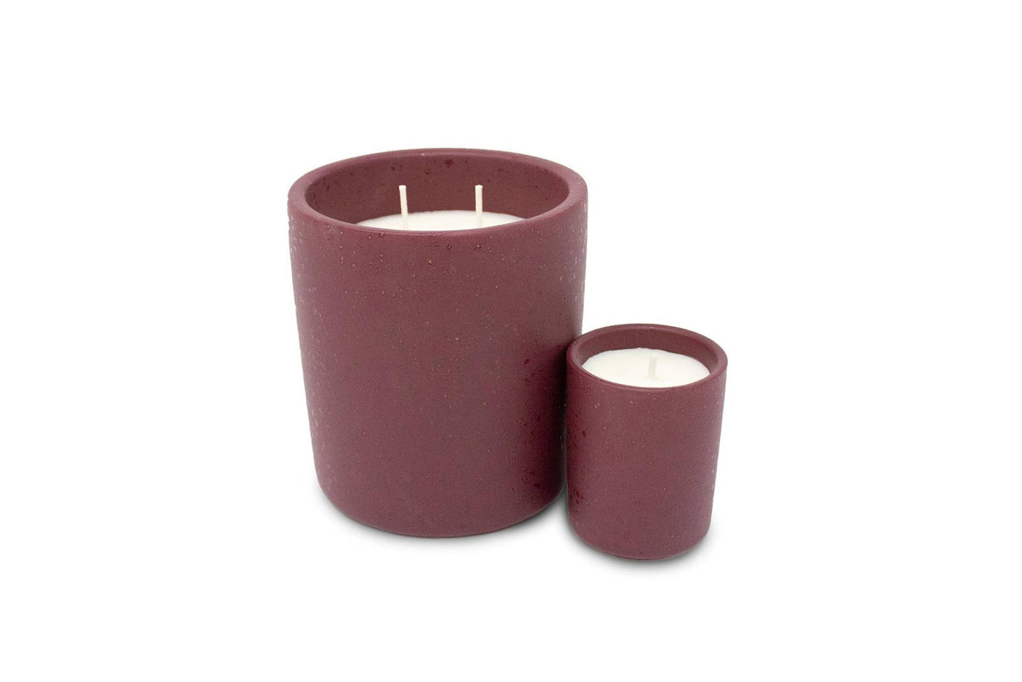 Earth & Ember 13 oz Candle: Iced Winterberries