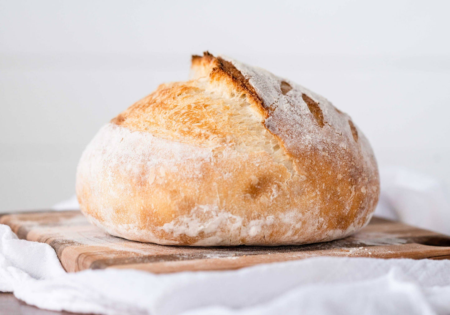 Sourdough Starter | Freeze Dried | San Francisco Style 12gm