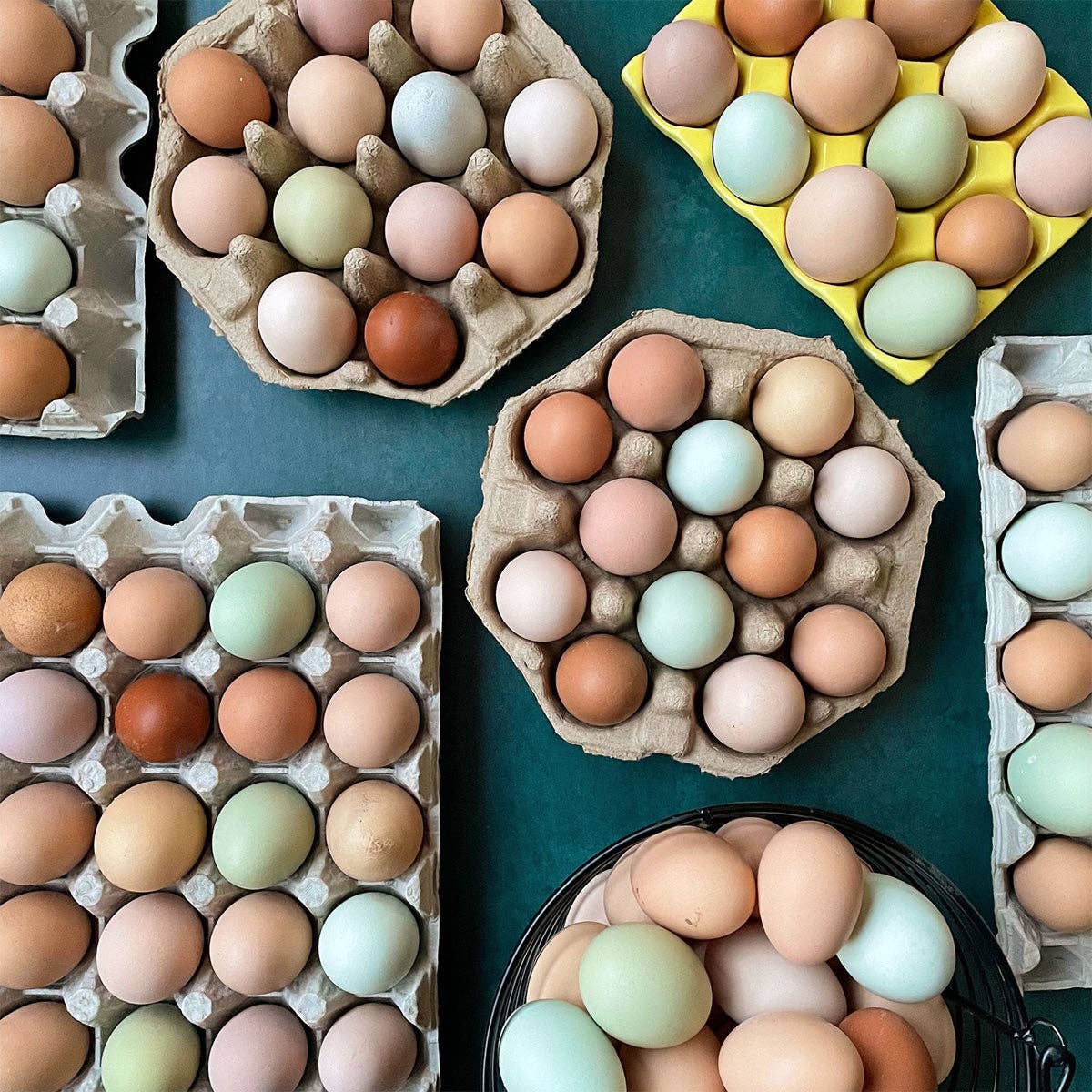 Farm Fresh Eggs