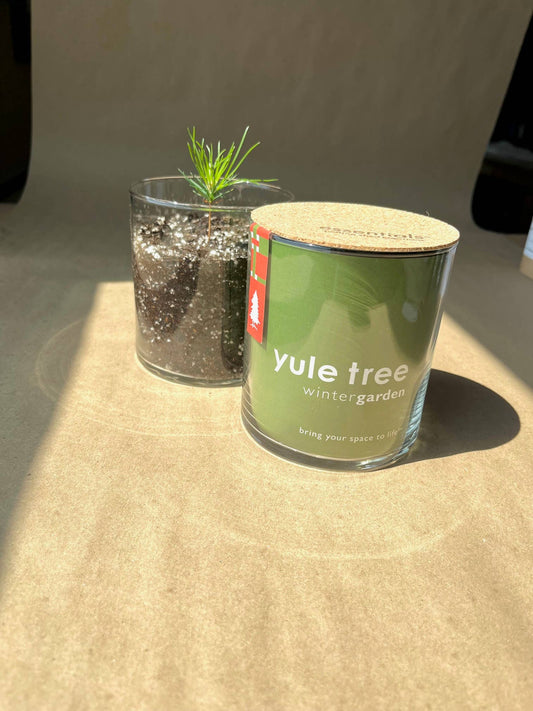 Essential | Christmas Tree | Hostess gift | Event Gift