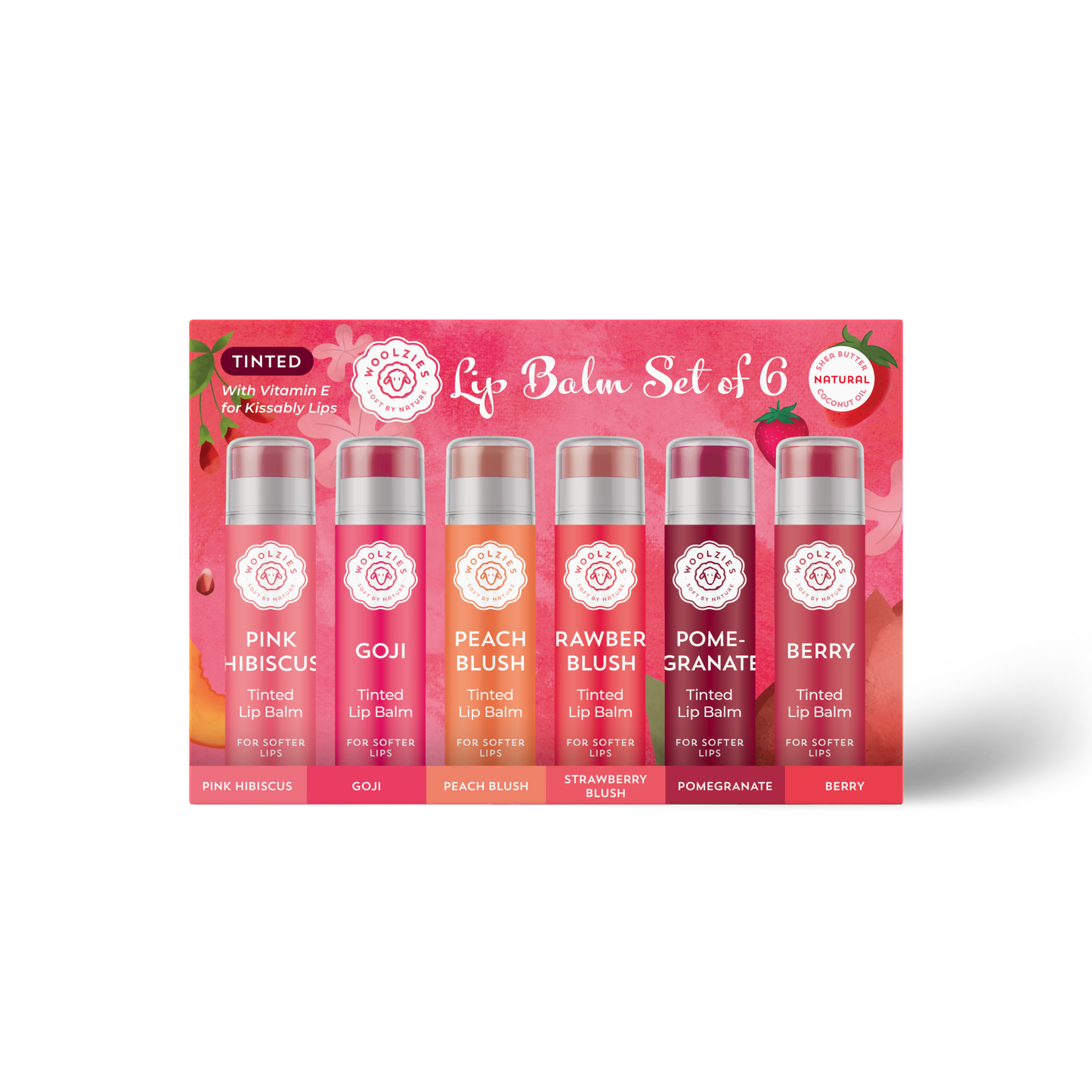 NEW Tinted Lip Balm Set of 6