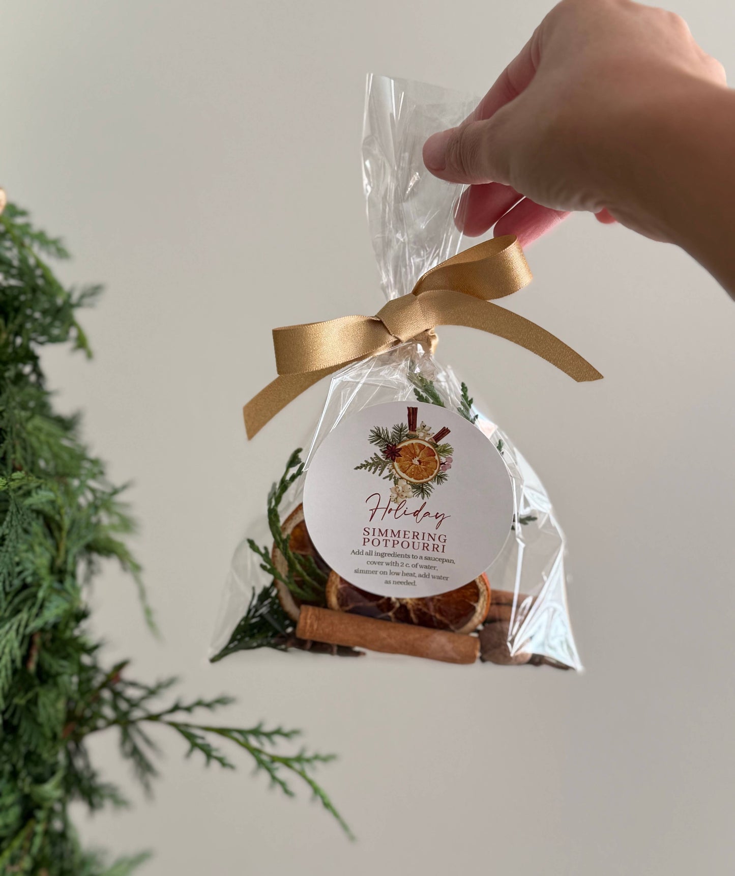 Holiday Simmer Pot Christmas Simmer Pot Packet