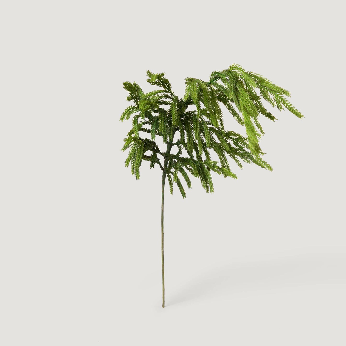 Afloral™ Real Touch Norfolk Pine Branch - 36"