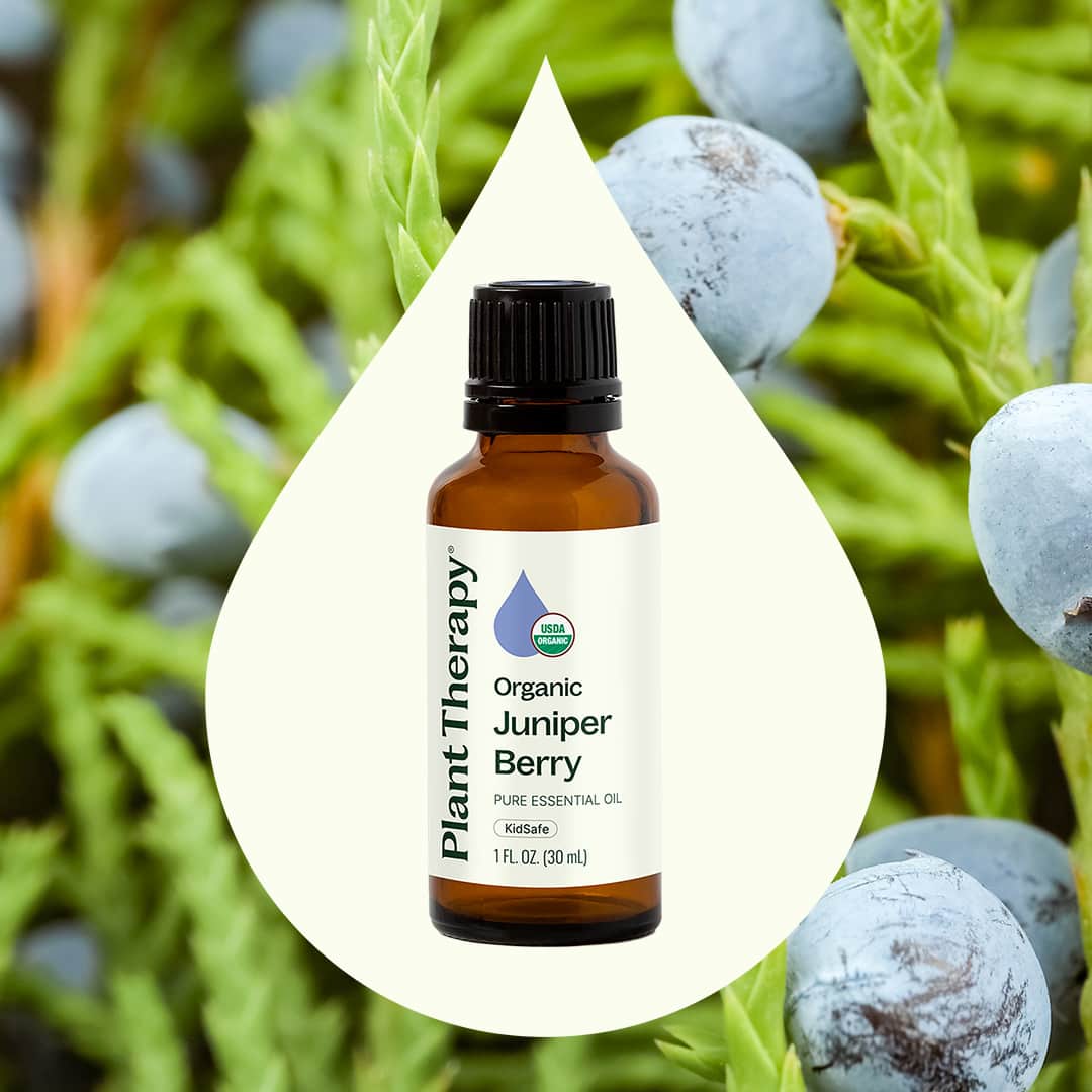 Organic Juniper Berry Essential Oil 10 mL