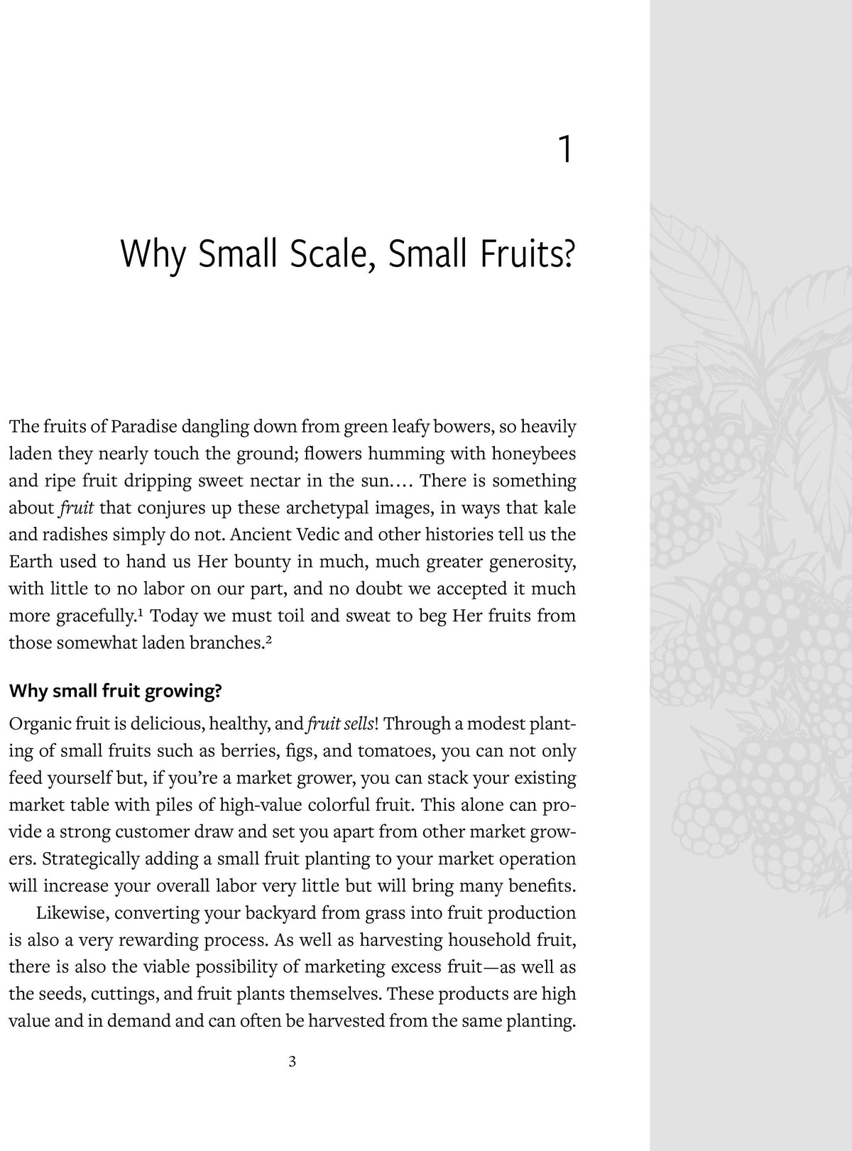 The Berry Grower