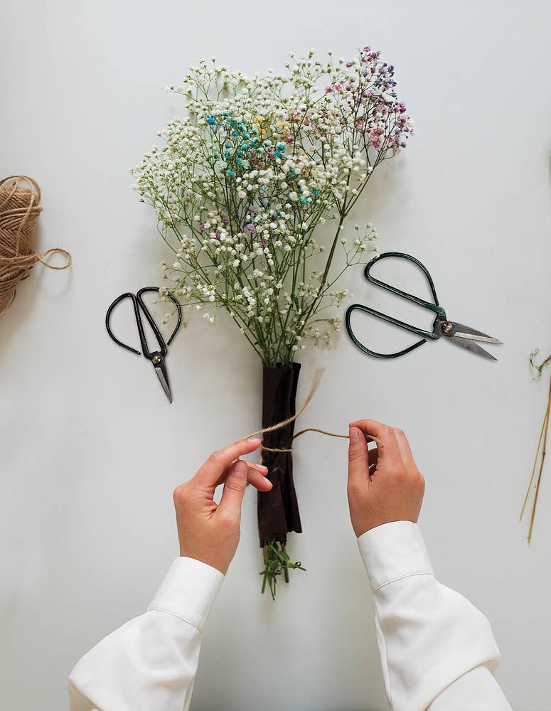 Flower Stem Shears - 3 Asst Colors