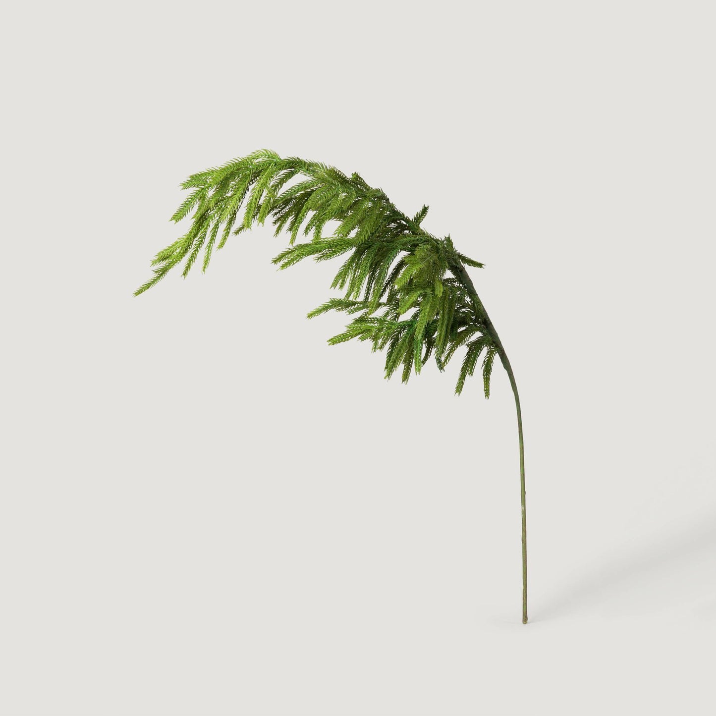 Afloral™ Real Touch Norfolk Pine Branch - 36"