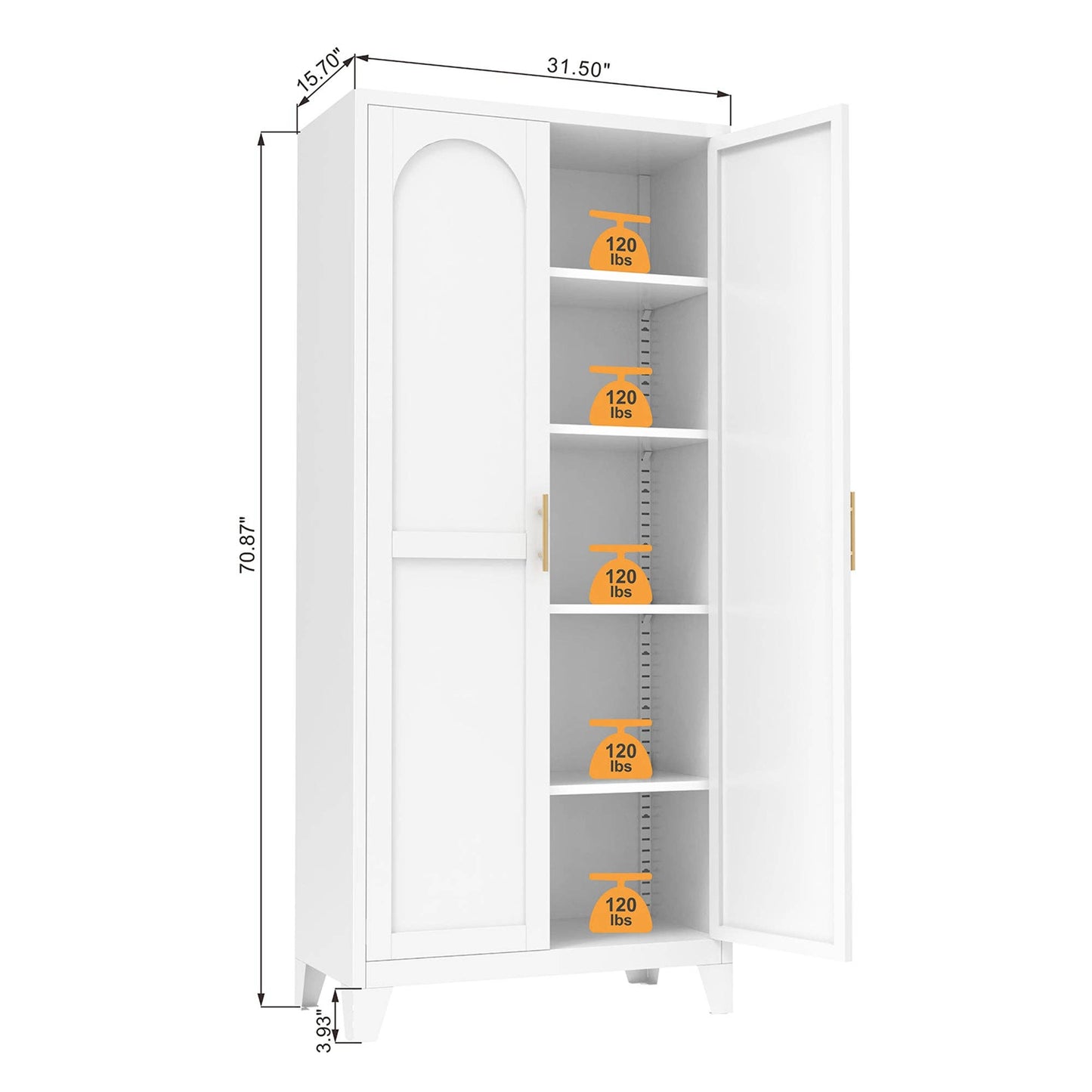 Shapely Doors Storage Cabinet with Adjustable Shelves