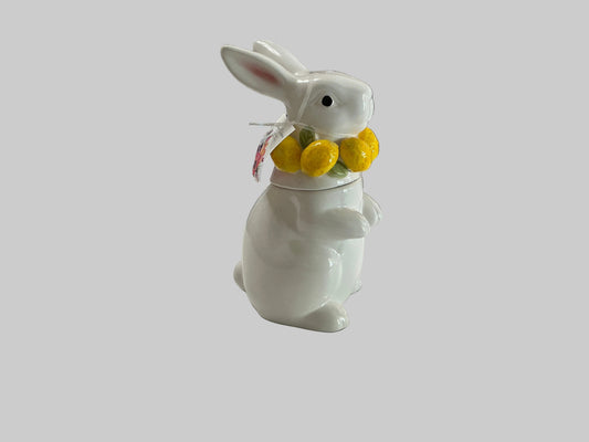 Lemon Bunny