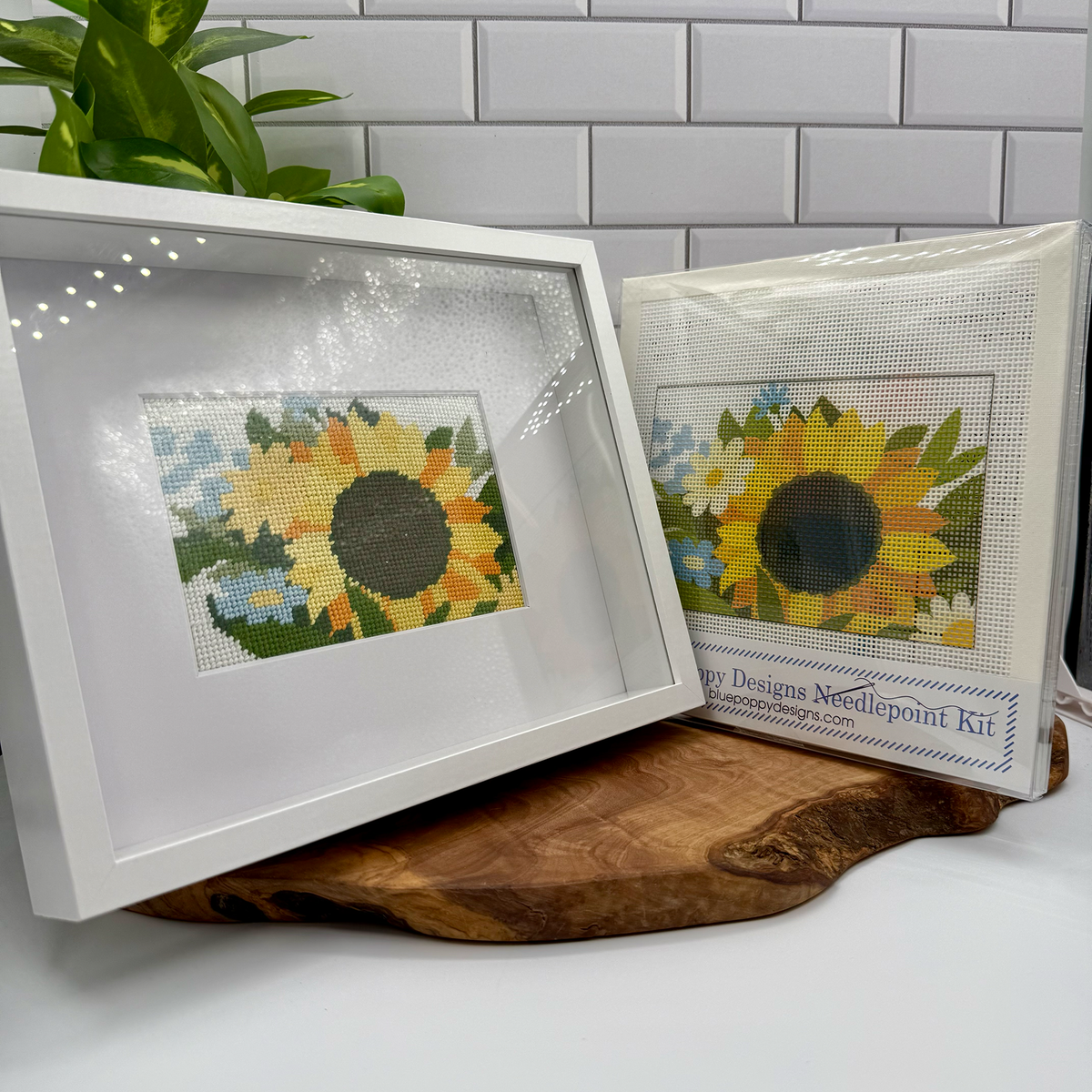 Self finishing Shadowbox Frame (real Glass) for the 4" x 6" Needlepoint kit
