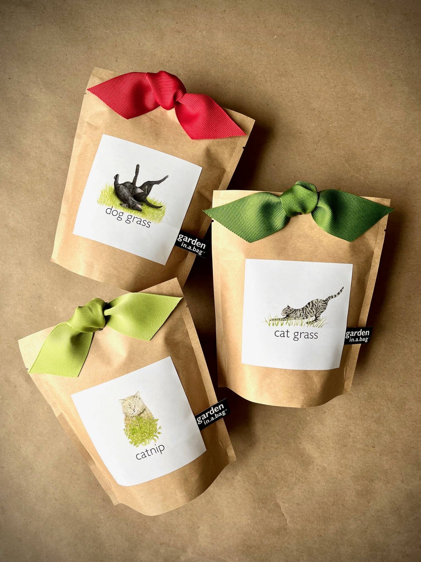 Garden in a Bag | Cat Grass | Pet Treat | Cat Gift