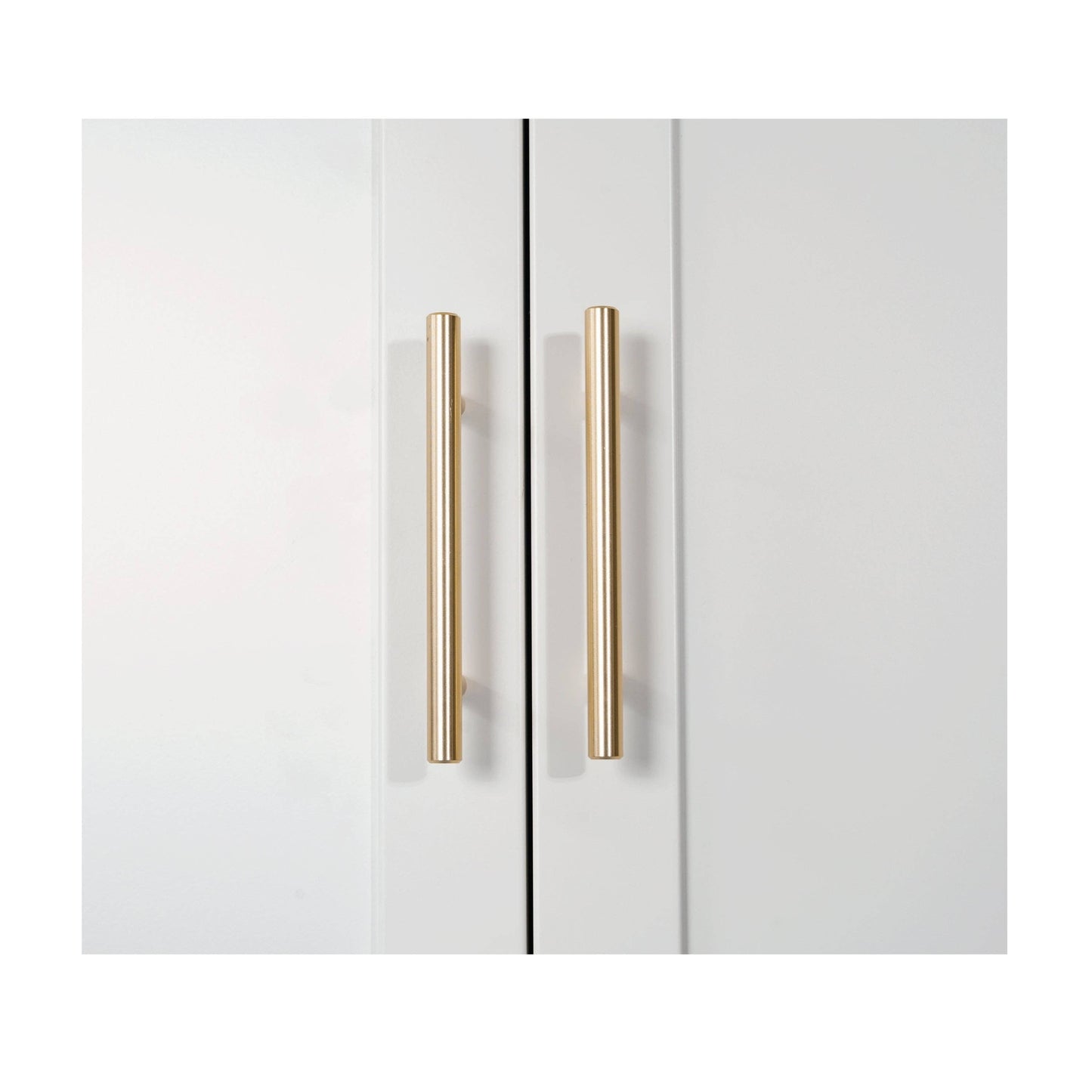 Shapely Doors Storage Cabinet with Adjustable Shelves