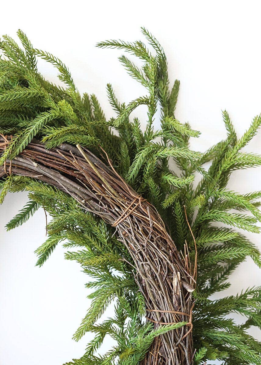 Afloral™ Real Touch Norfolk Pine Wreath - 24"