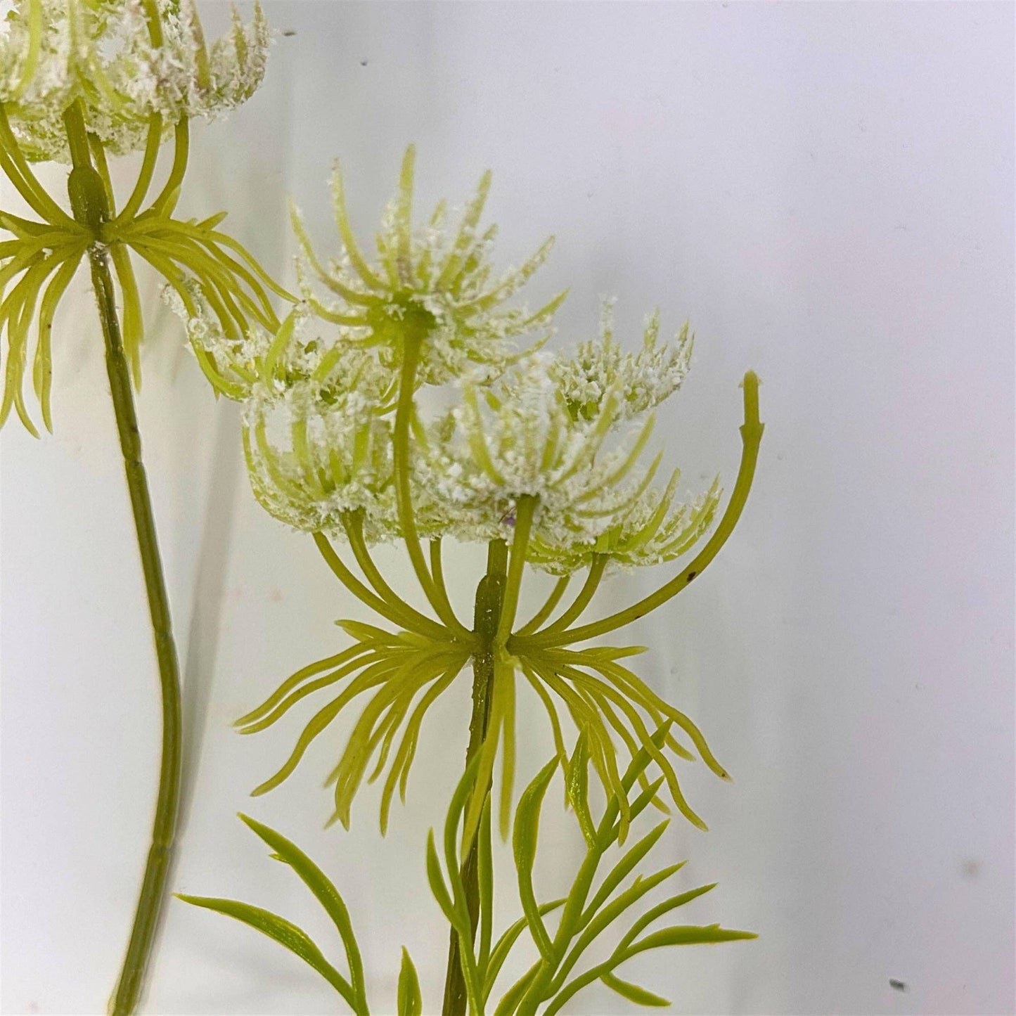 Queen Anne's Lace Spray 32" - White