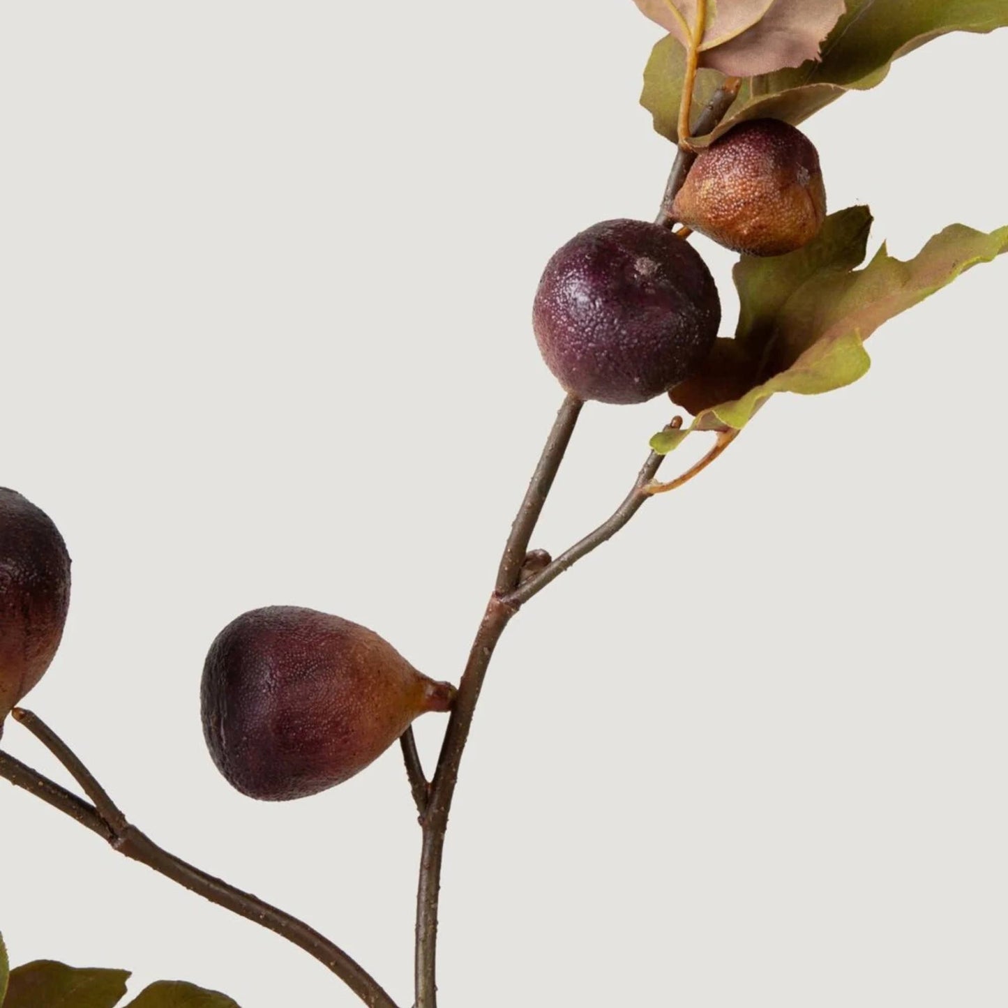 Dried Look Faux Fig Branch in Eggplant - 37"