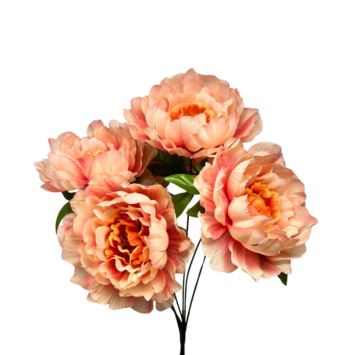 Large Peony Bush x7 - Coral 18"