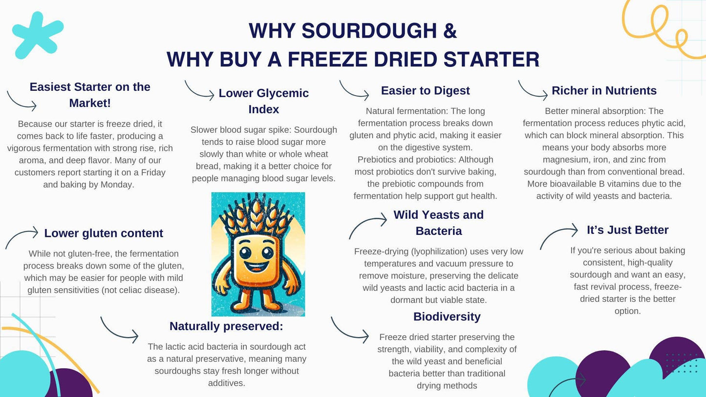 Sourdough Starter | Freeze Dried | San Francisco Style 12gm