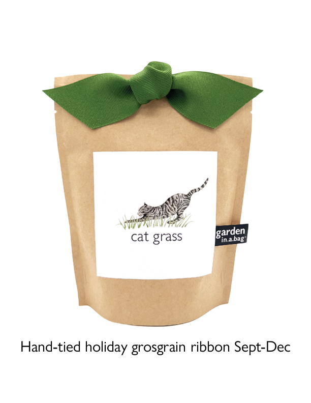 Garden in a Bag | Cat Grass | Pet Treat | Cat Gift
