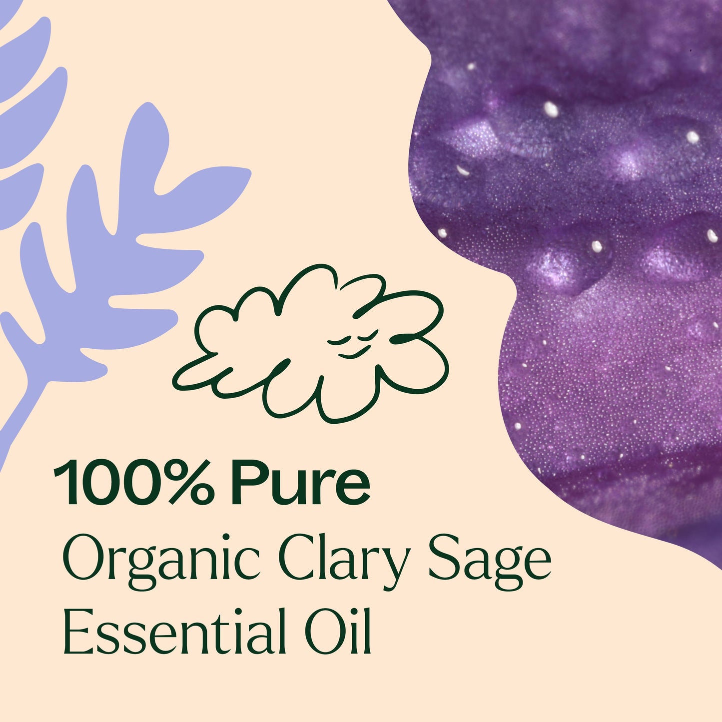 Organic Clary Sage Essential Oil 10 mL
