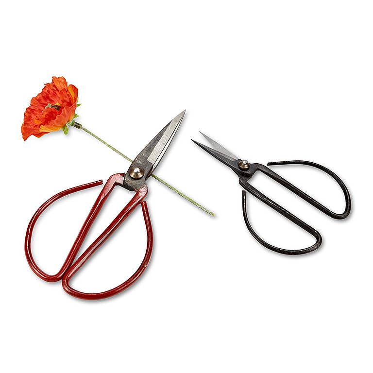 Flower Stem Shears - 3 Asst Colors