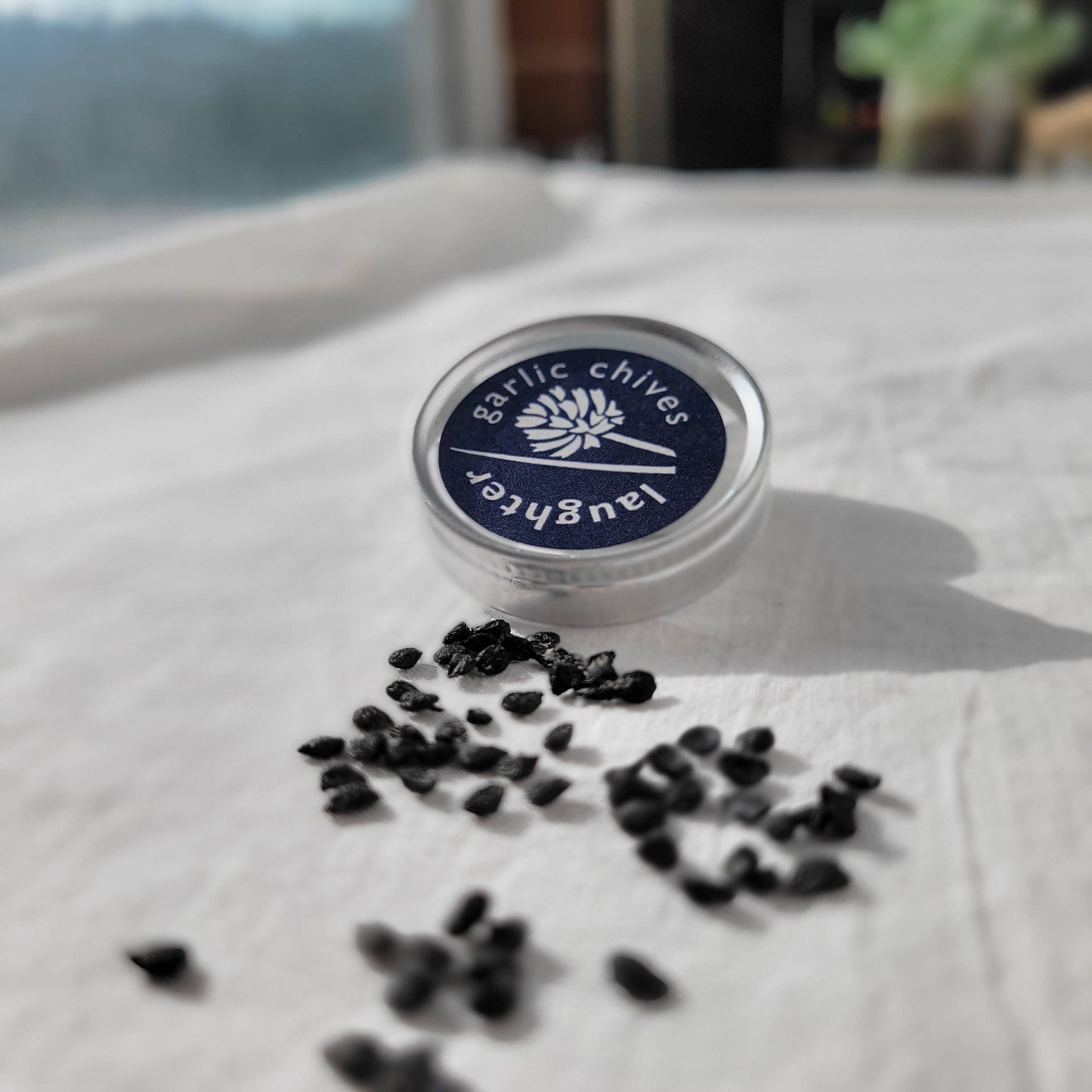 Growing Wishes Herb | Cheer | Herb Sentiments