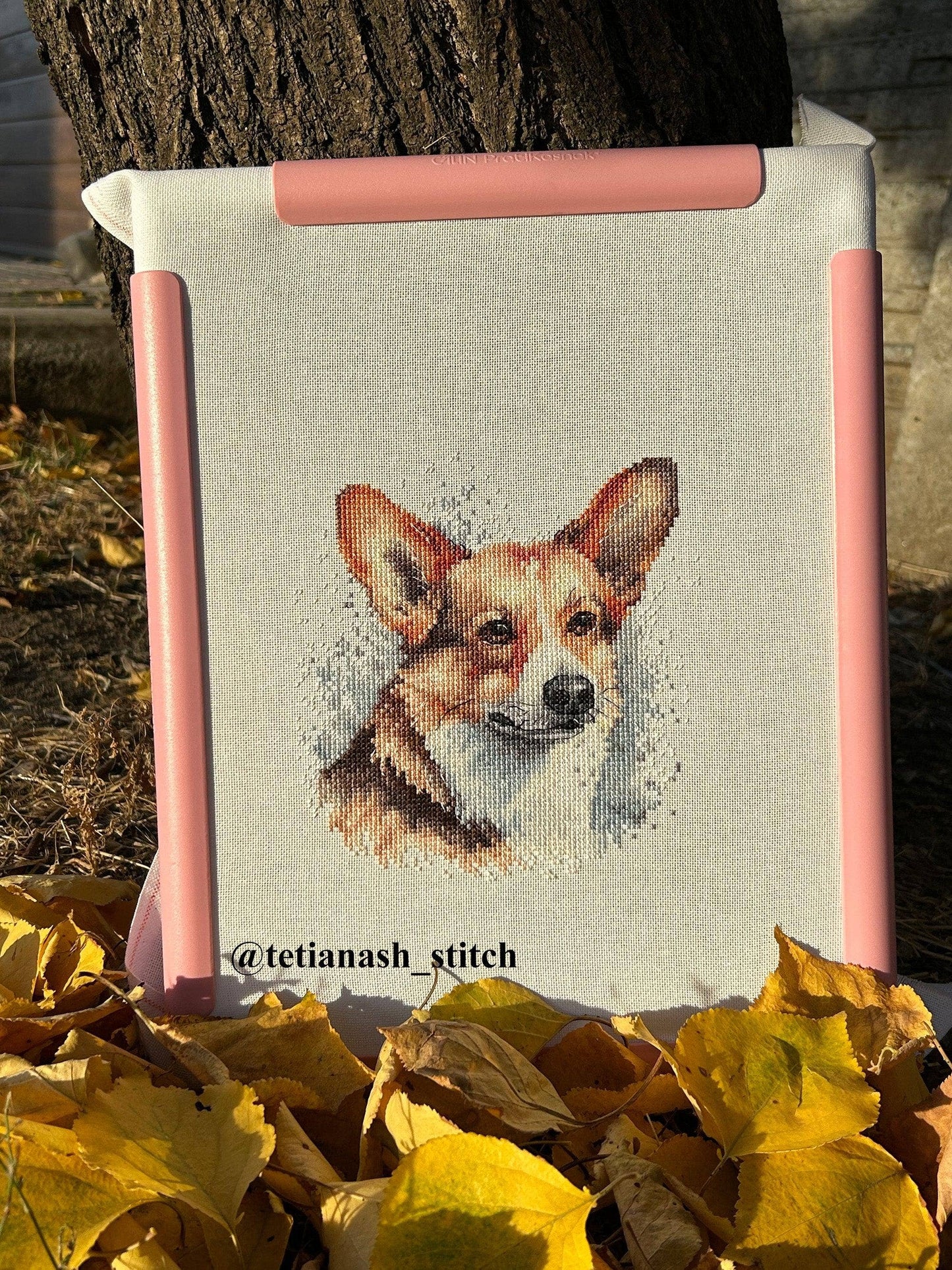 Cross Stitch Kit with Hoop Included Luca-S - BC212, Welsh Corgi