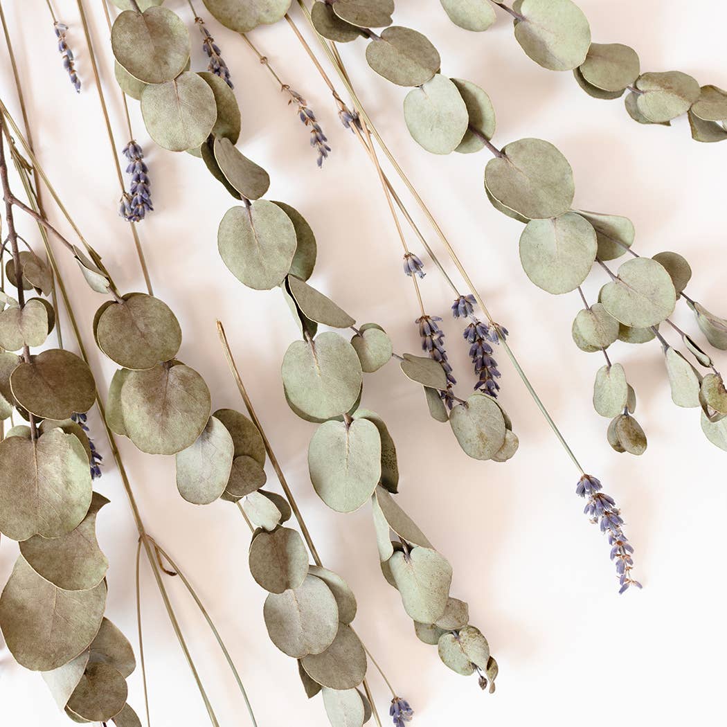 16 oz Butter Jar Candle: Eucalyptus Lavender