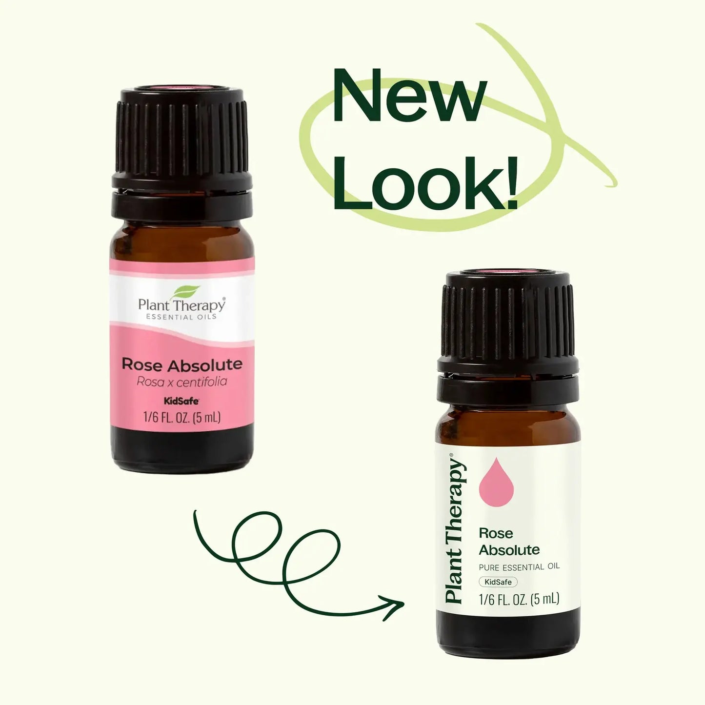 Rose Pure Absolute Essential Oil 5 mL