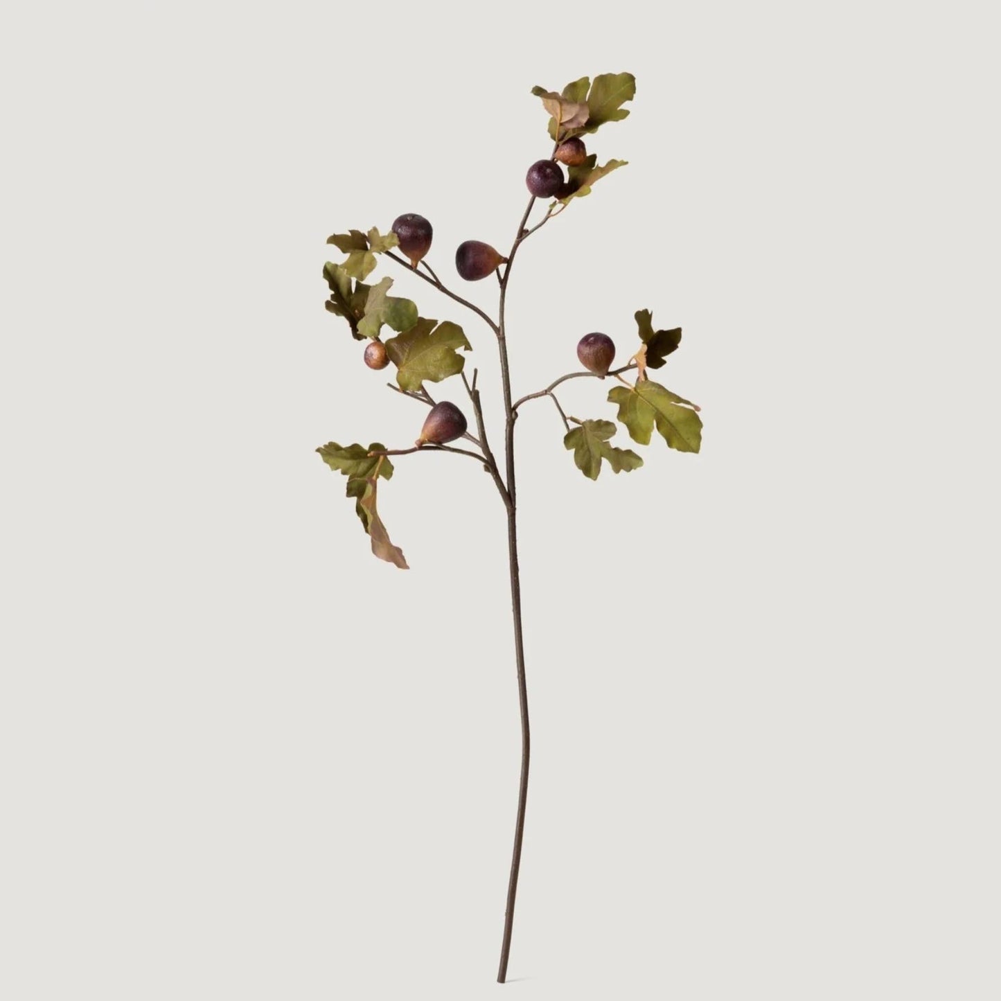 Dried Look Faux Fig Branch in Eggplant - 37"