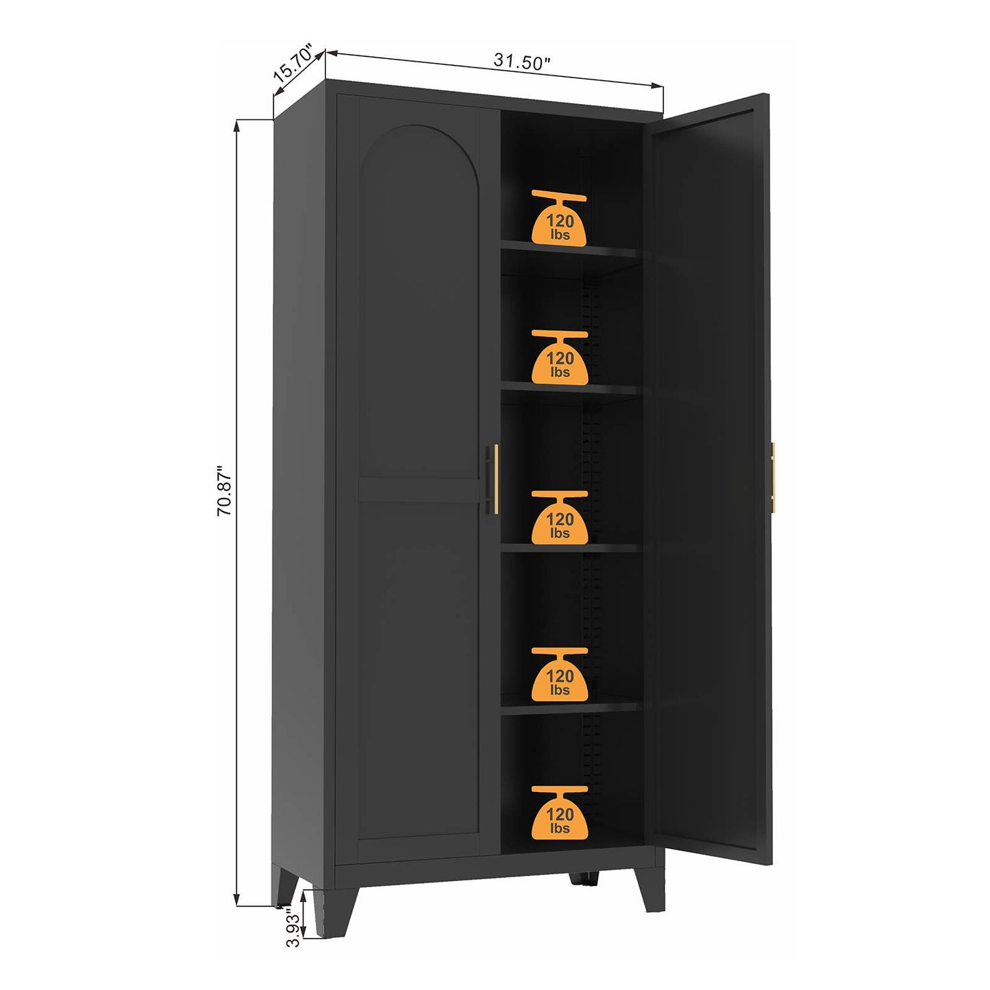 Shapely Doors Storage Cabinet with Adjustable Shelves