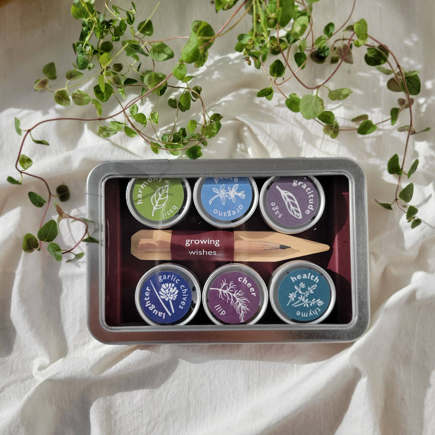 Growing Wishes Herb | Cheer | Herb Sentiments