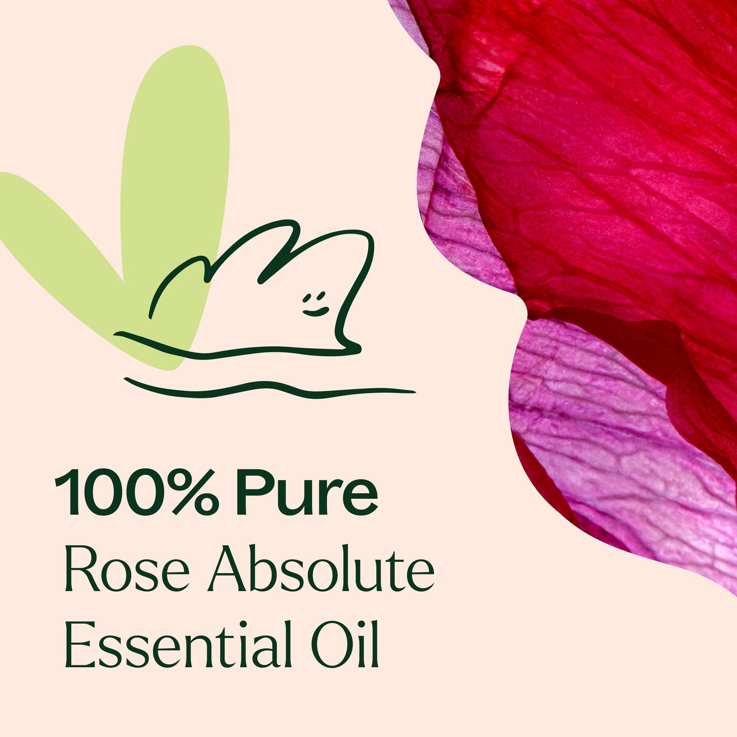 Rose Pure Absolute Essential Oil 5 mL