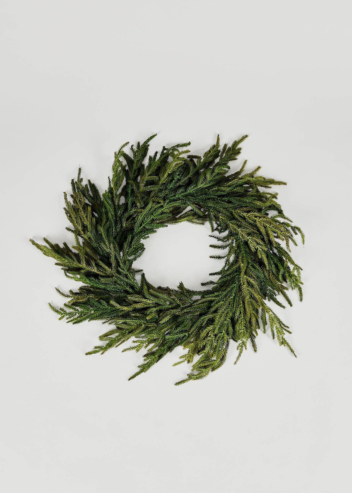 Afloral™ Real Touch Norfolk Pine Wreath - 24"