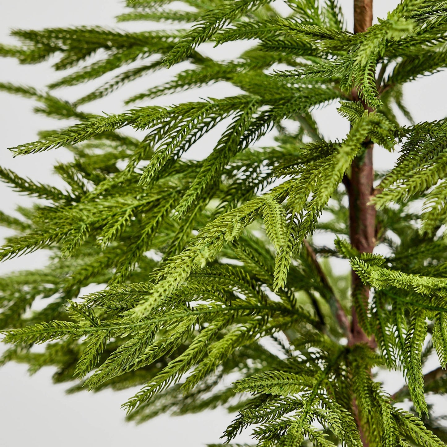 Afloral™ Artificial Norfolk Pine Tree - 36"
