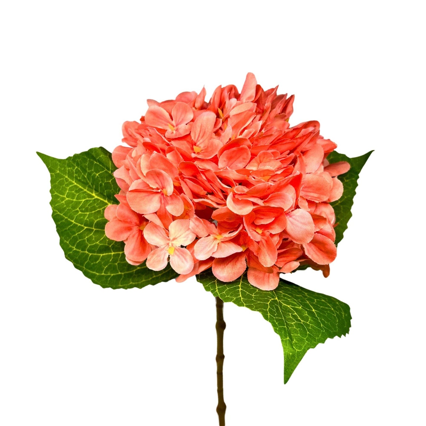 Full Garden Hydrangea Stem 21" - Sherbet