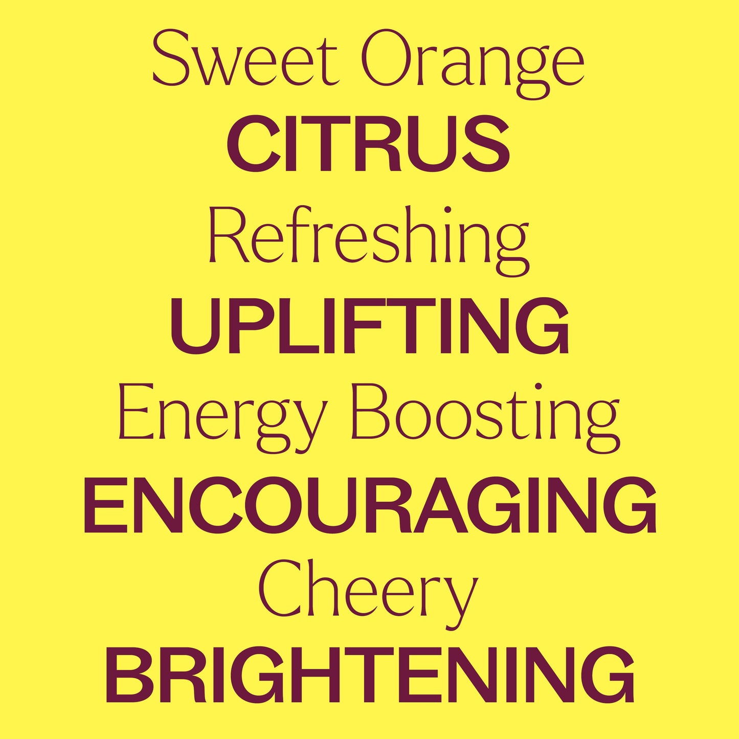 Organic Sweet Orange Essential Oil 10 mL