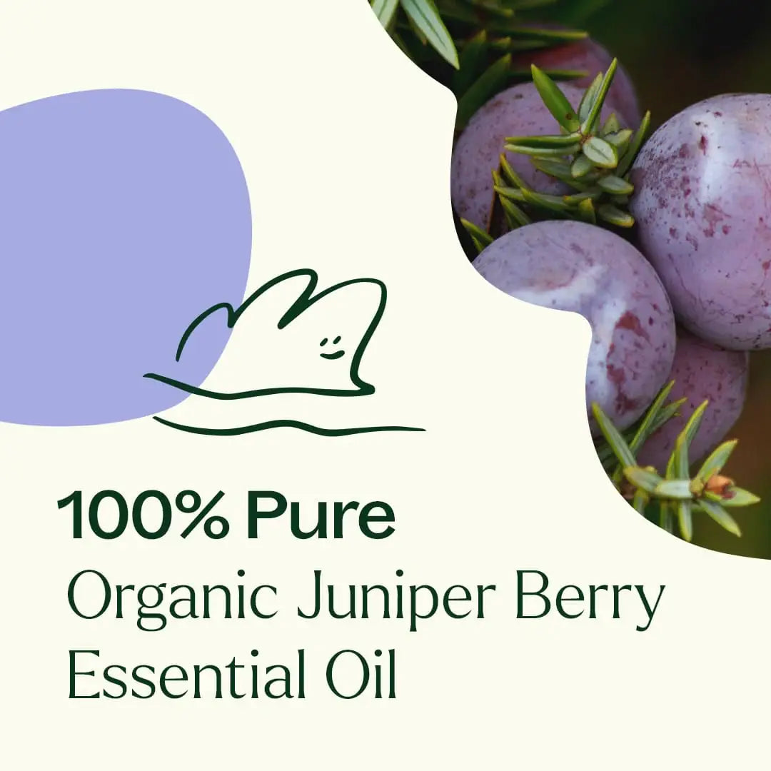 Organic Juniper Berry Essential Oil 10 mL