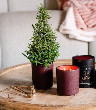 Earth & Ember 13 oz Candle: Iced Winterberries