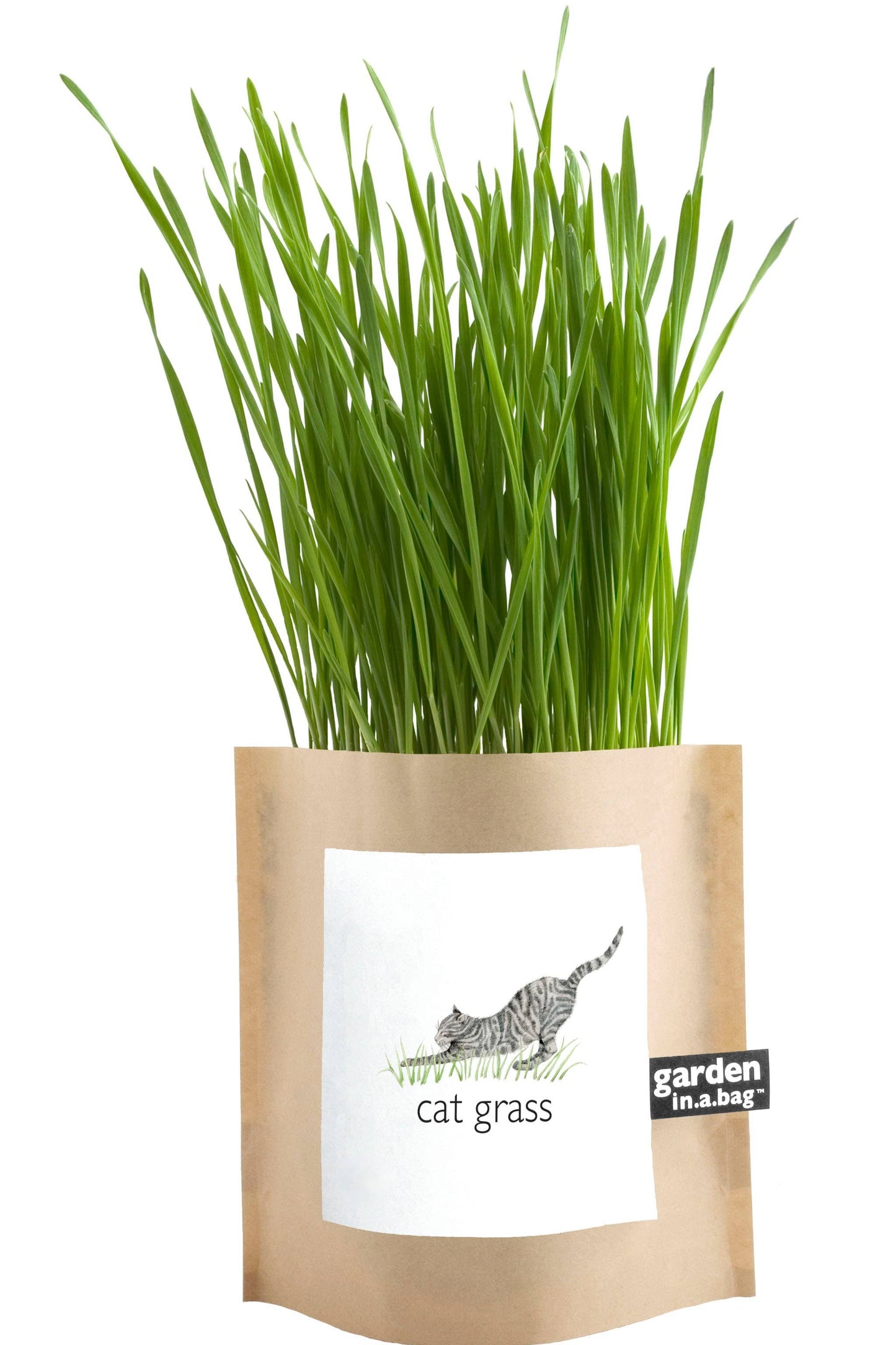 Garden in a Bag | Cat Grass | Pet Treat | Cat Gift