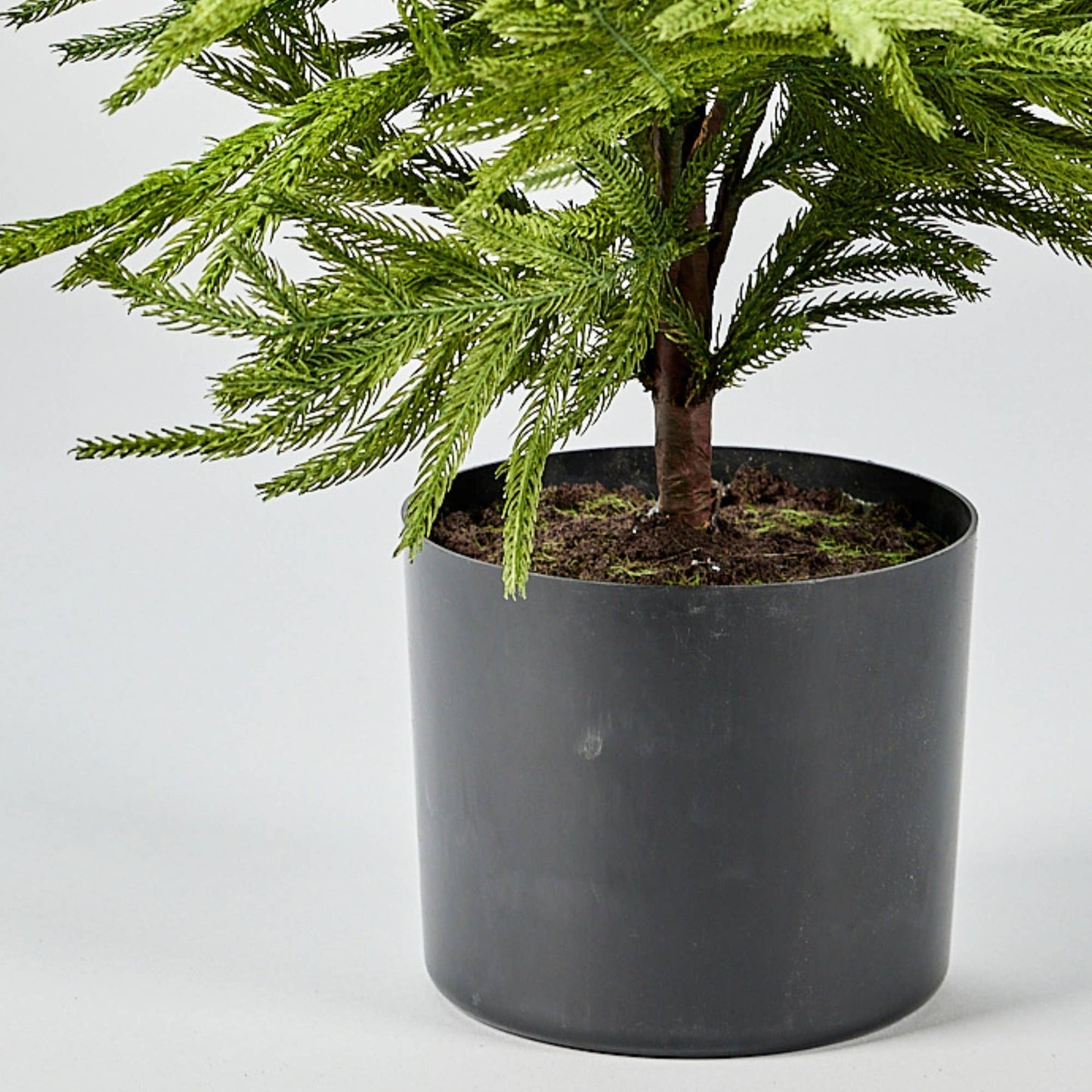 Afloral™ Artificial Norfolk Pine Tree - 36"