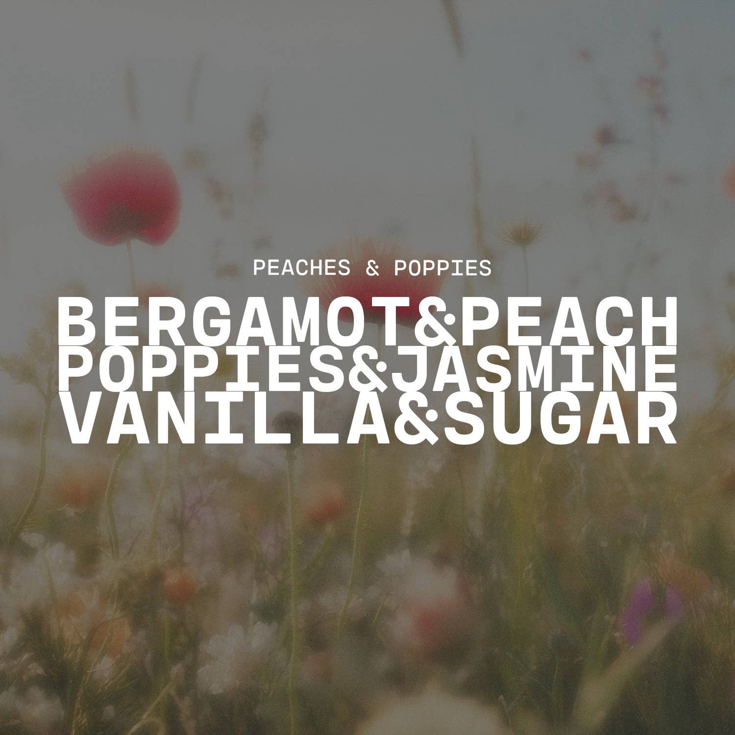 13 oz Mason Jar Candle: Peaches & Poppies